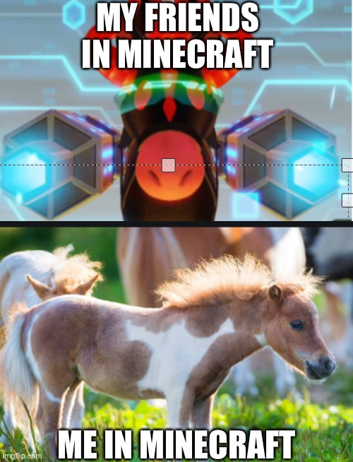 I suk | MY FRIENDS IN MINECRAFT; ME IN MINECRAFT | image tagged in miitopia horse with laser cannons | made w/ Imgflip meme maker