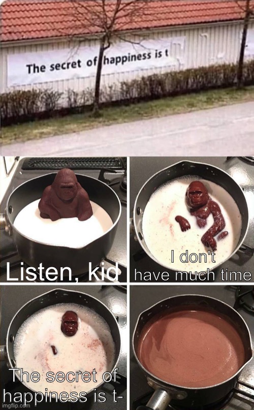WHAT IS IT |  Listen, kid; I don't have much time; The secret of happiness is t- | image tagged in chocolate gorilla,memes,hey kid i don't have much time | made w/ Imgflip meme maker