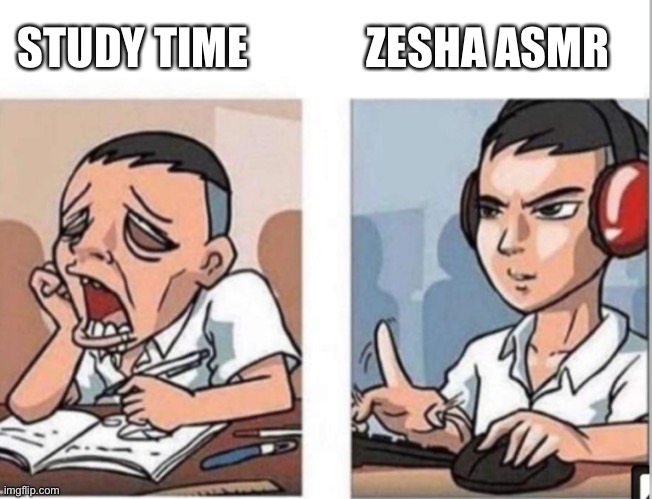 Funky Friday be like | STUDY TIME; ZESHA ASMR | image tagged in friday night funkin,zesha,zeka,aus_si | made w/ Imgflip meme maker