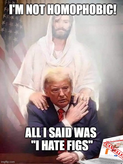 WTH! | I'M NOT HOMOPHOBIC! ALL I SAID WAS 
"I HATE FIGS" | image tagged in jesus and trump,cancelled,trump,what the hell,funny trump meme,funny memes | made w/ Imgflip meme maker