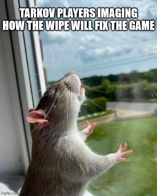 Tarkov players waiting for wipe. | TARKOV PLAYERS IMAGING HOW THE WIPE WILL FIX THE GAME | image tagged in tarkov,eft,wipe | made w/ Imgflip meme maker