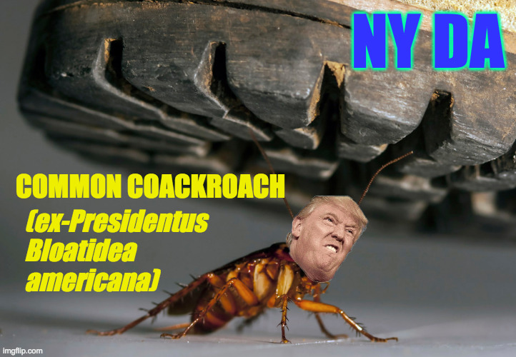 I'd like to think that Jared would get caught laughing at this  ( : | NY DA; COMMON COACKROACH; (ex-Presidentus
Bloatidea
americana) | image tagged in memes,cockroach trump,ny da,jared kushner | made w/ Imgflip meme maker