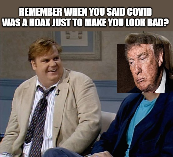 How many times do they have to be wrong before they stfu? | REMEMBER WHEN YOU SAID COVID WAS A HOAX JUST TO MAKE YOU LOOK BAD? | image tagged in remember that time,memes,politics,covidiots,maga,idiots | made w/ Imgflip meme maker