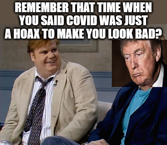Remember that time | REMEMBER THAT TIME WHEN YOU SAID COVID WAS JUST A HOAX TO MAKE YOU LOOK BAD? | image tagged in remember that time,memes,politics,covid-19,donald trump is an idiot,maga | made w/ Imgflip meme maker