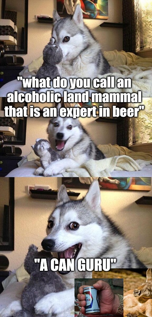 Bad pun dawg | image tagged in beer,kangaroo,bad pun dog,guru | made w/ Imgflip meme maker