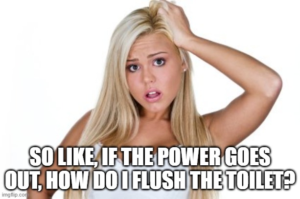 Now You're Playing With Power | SO LIKE, IF THE POWER GOES OUT, HOW DO I FLUSH THE TOILET? | image tagged in dumb blonde | made w/ Imgflip meme maker