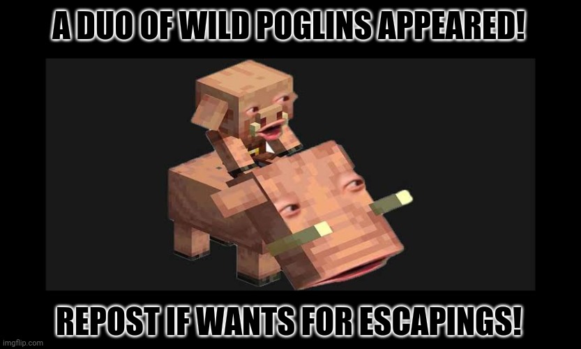 A DUO OF WILD POGLINS APPEARED! REPOST IF WANTS FOR ESCAPINGS! | image tagged in memes,pogchamp,minecraft mail | made w/ Imgflip meme maker