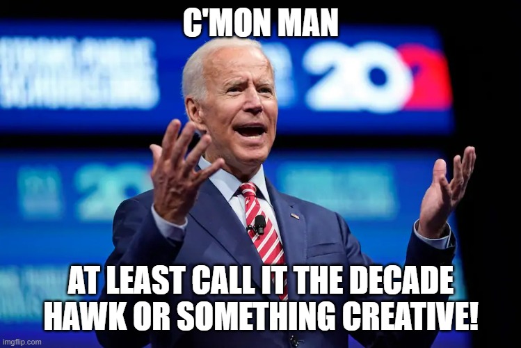 Biden c'mon man | C'MON MAN AT LEAST CALL IT THE DECADE HAWK OR SOMETHING CREATIVE! | image tagged in biden c'mon man | made w/ Imgflip meme maker