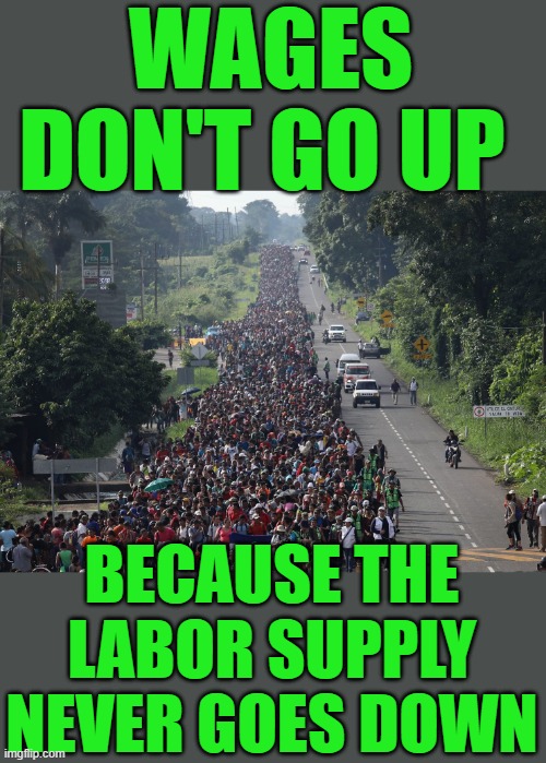 free your mind your ass will follow | WAGES DON'T GO UP; BECAUSE THE LABOR SUPPLY NEVER GOES DOWN | image tagged in democrats,illegal immigration,fascism | made w/ Imgflip meme maker