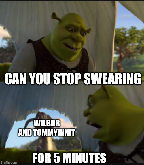 They seems pretty childish | CAN YOU STOP SWEARING; WILBUR AND TOMMYINNIT; FOR 5 MINUTES | image tagged in can you stop talking | made w/ Imgflip meme maker