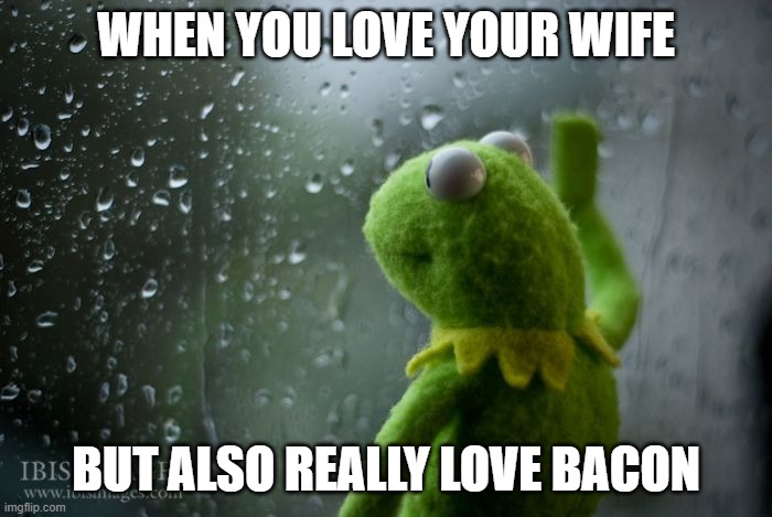 kermit window | WHEN YOU LOVE YOUR WIFE; BUT ALSO REALLY LOVE BACON | image tagged in kermit window | made w/ Imgflip meme maker