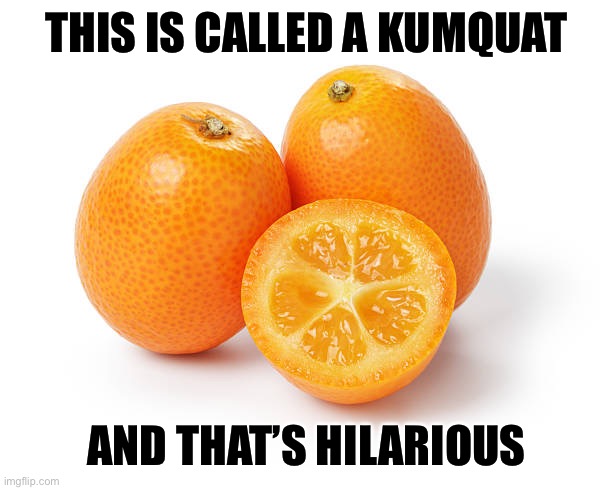 Sounds dirty, but hilarious | THIS IS CALLED A KUMQUAT; AND THAT’S HILARIOUS | image tagged in funny,fruits | made w/ Imgflip meme maker