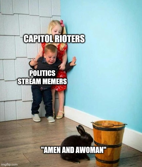 The politics stream on Jan 6 was full of this | CAPITOL RIOTERS; POLITICS STREAM MEMERS; "AMEN AND AWOMAN" | image tagged in children scared of rabbit | made w/ Imgflip meme maker