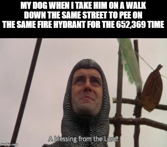 A blessing from the lord | MY DOG WHEN I TAKE HIM ON A WALK DOWN THE SAME STREET TO PEE ON THE SAME FIRE HYDRANT FOR THE 652,369 TIME | image tagged in a blessing from the lord | made w/ Imgflip meme maker