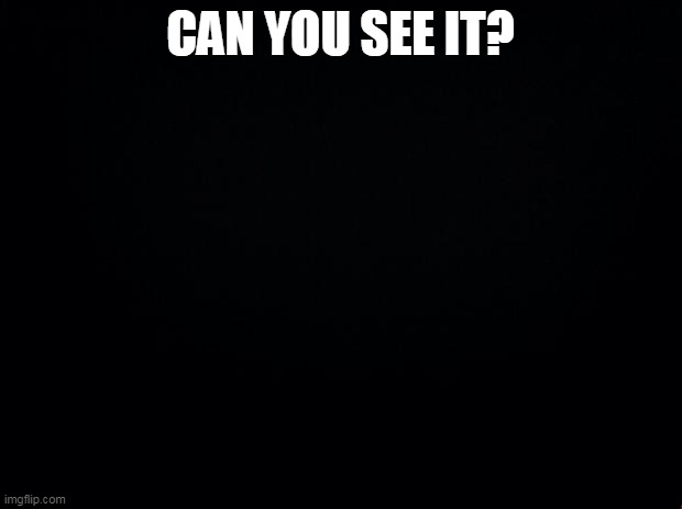 Can you see it? | CAN YOU SEE IT? | image tagged in black background | made w/ Imgflip meme maker