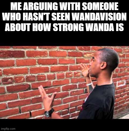 Brick wall guy | ME ARGUING WITH SOMEONE WHO HASN'T SEEN WANDAVISION ABOUT HOW STRONG WANDA IS | image tagged in brick wall guy | made w/ Imgflip meme maker