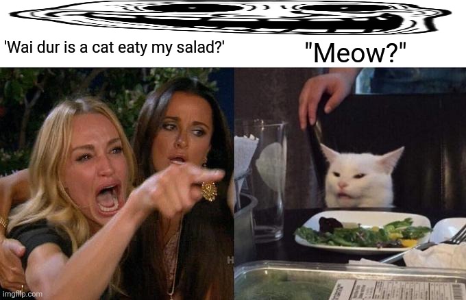 Woman Yelling At Cat Meme | 'Wai dur is a cat eaty my salad?'; "Meow?" | image tagged in memes,woman yelling at cat,crazy | made w/ Imgflip meme maker