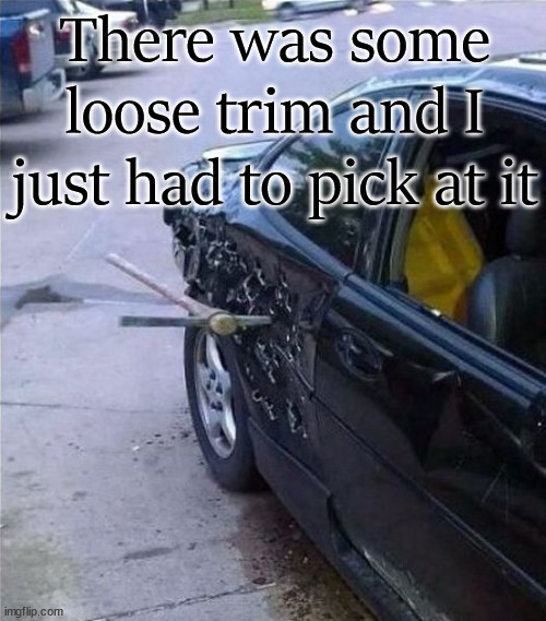 There was some loose trim and I just had to pick at it | image tagged in eyeroll | made w/ Imgflip meme maker