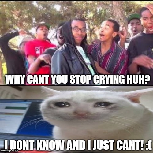 Roasting the Crying Cat | WHY CANT YOU STOP CRYING HUH? I DONT KNOW AND I JUST CANT! :( | image tagged in roasting the crying cat | made w/ Imgflip meme maker