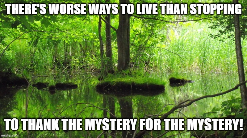 Richard Wagamese | THERE'S WORSE WAYS TO LIVE THAN STOPPING; TO THANK THE MYSTERY FOR THE MYSTERY! | image tagged in meme | made w/ Imgflip meme maker
