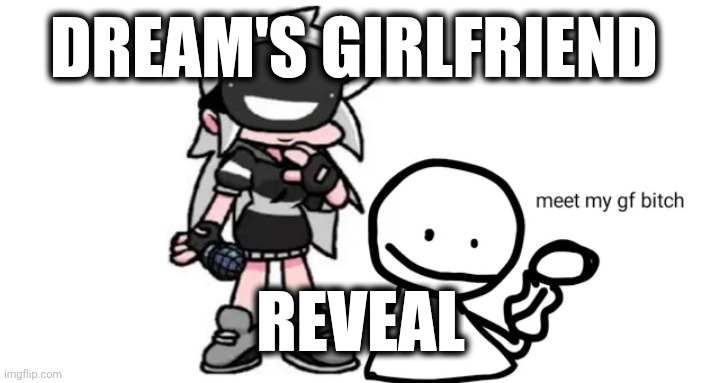 DREAM'S GIRLFRIEND; REVEAL | image tagged in dream smp | made w/ Imgflip meme maker