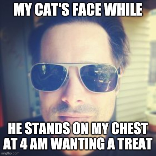 Not sure | MY CAT'S FACE WHILE; HE STANDS ON MY CHEST AT 4 AM WANTING A TREAT | image tagged in not sure | made w/ Imgflip meme maker