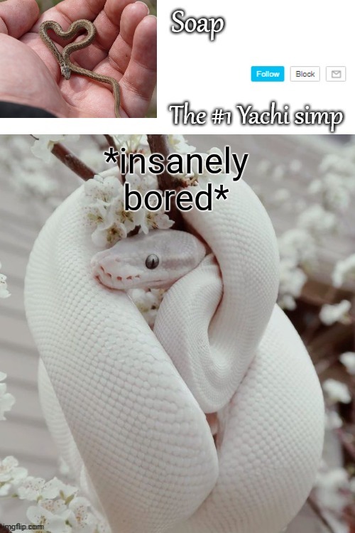 *insanely bored* | image tagged in soap snake temp ty yachi | made w/ Imgflip meme maker