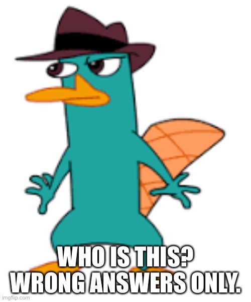 WHO IS THIS?
WRONG ANSWERS ONLY. | image tagged in perry | made w/ Imgflip meme maker