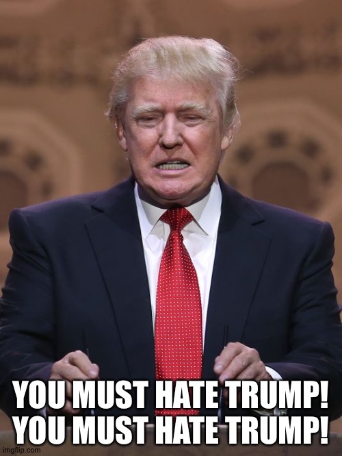Donald whines | YOU MUST HATE TRUMP!
YOU MUST HATE TRUMP! | image tagged in donald trump | made w/ Imgflip meme maker