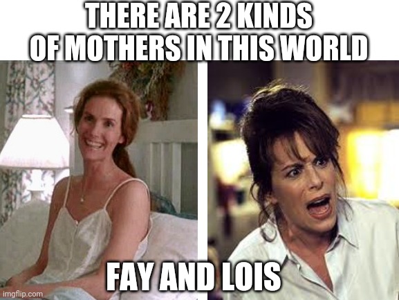 And you can't be both | THERE ARE 2 KINDS OF MOTHERS IN THIS WORLD; FAY AND LOIS | image tagged in 90's,malcolm in the middle,tv show,mom,parenting,crazy | made w/ Imgflip meme maker