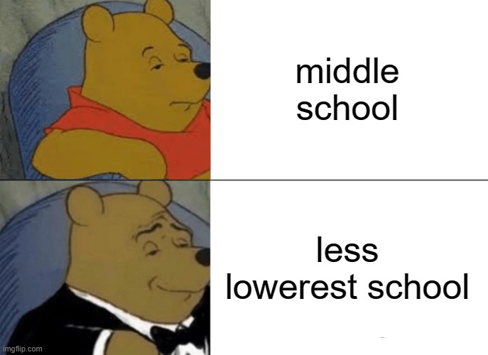 Tuxedo Winnie The Pooh Meme | middle school less lowerest school | image tagged in memes,tuxedo winnie the pooh | made w/ Imgflip meme maker