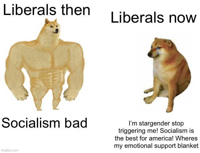 Buff Doge vs. Cheems | Liberals then; Liberals now; Socialism bad; I’m stargender stop triggering me! Socialism is the best for america! Wheres my emotional support blanket | image tagged in memes,buff doge vs cheems | made w/ Imgflip meme maker