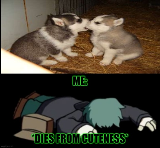 Garcello dies from cuteness | image tagged in garcello dies from cuteness | made w/ Imgflip meme maker