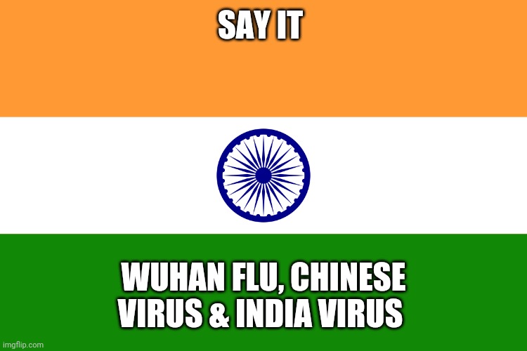 Viruses should be called from their original country where they came from like the Spanish flu | SAY IT; WUHAN FLU, CHINESE VIRUS & INDIA VIRUS | made w/ Imgflip meme maker