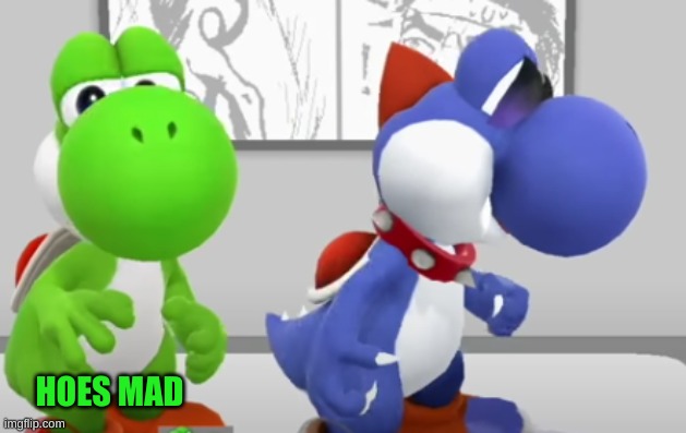 Yoshi & Boshi | HOES MAD | image tagged in yoshi boshi | made w/ Imgflip meme maker