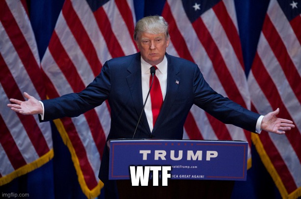 Donald Trump | WTF | image tagged in donald trump | made w/ Imgflip meme maker