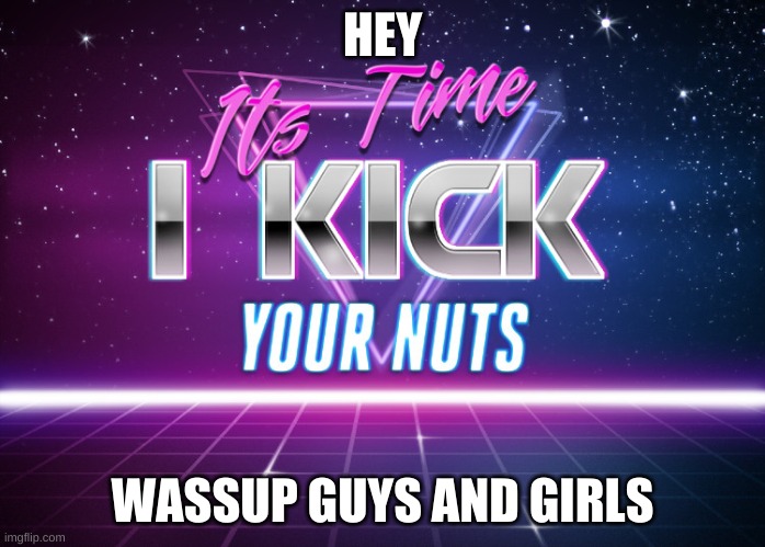 Its Time I Kick Your Nuts | HEY; WASSUP GUYS AND GIRLS | image tagged in its time i kick your nuts | made w/ Imgflip meme maker