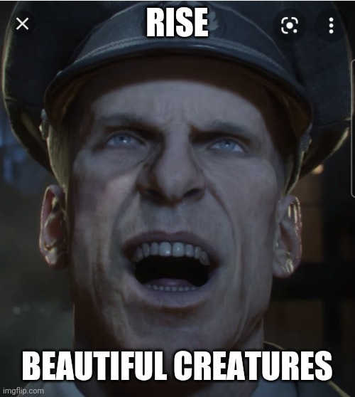 Richthofen | RISE BEAUTIFUL CREATURES | image tagged in richthofen | made w/ Imgflip meme maker