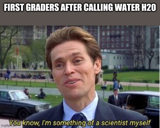 Saiyantist | FIRST GRADERS AFTER CALLING WATER H20 | image tagged in you know i am something of a | made w/ Imgflip meme maker