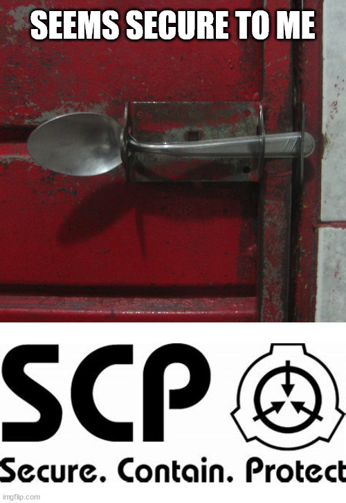 SEEMS SECURE TO ME | image tagged in scp,you had one job | made w/ Imgflip meme maker