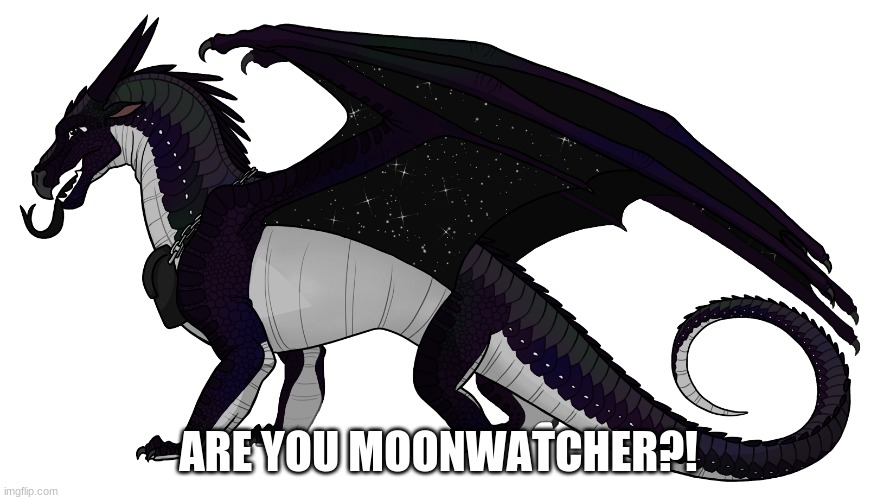 MOONWATCHER | ARE YOU MOONWATCHER?! | image tagged in moonwatcher | made w/ Imgflip meme maker