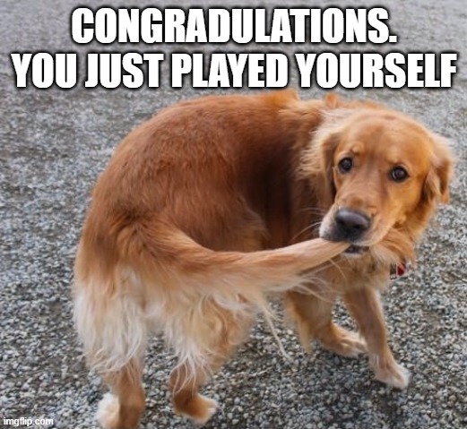 Dog biting tail | CONGRADULATIONS. YOU JUST PLAYED YOURSELF | image tagged in dog biting tail | made w/ Imgflip meme maker