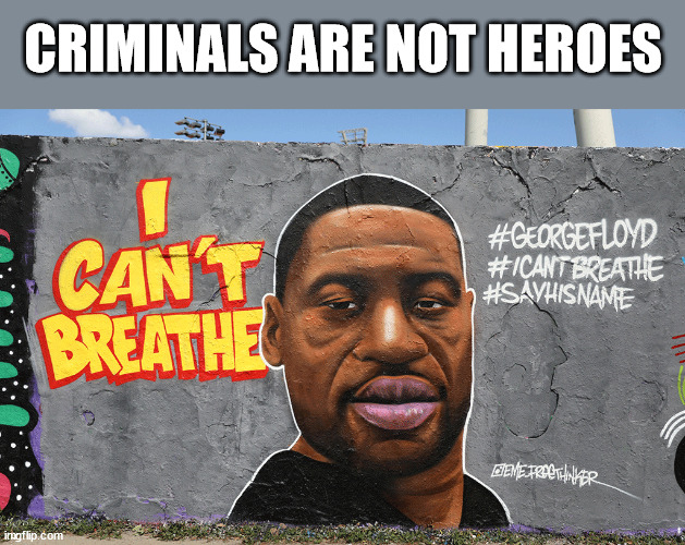 George is not a hero | CRIMINALS ARE NOT HEROES | image tagged in george floyd | made w/ Imgflip meme maker