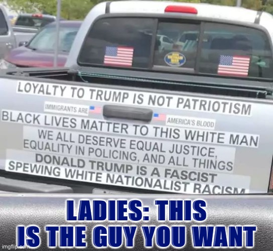 anti trump bumpr stickers anti trump bumpr stickers