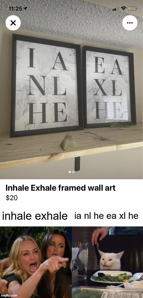 Jason's fresh daily memes #8 |  inhale exhale; ia nl he ea xl he | image tagged in memes,woman yelling at cat,dank memes | made w/ Imgflip meme maker