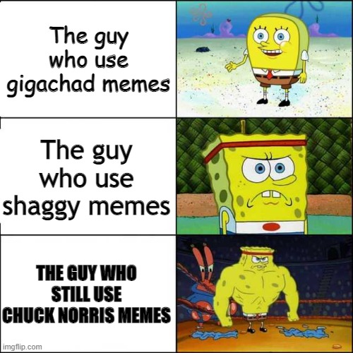 New memes vs Veterans memes | The guy who use gigachad memes; The guy who use shaggy memes; THE GUY WHO STILL USE CHUCK NORRIS MEMES | image tagged in spongebob strong,chuck norris,shaggy,old memes,buff spongebob | made w/ Imgflip meme maker