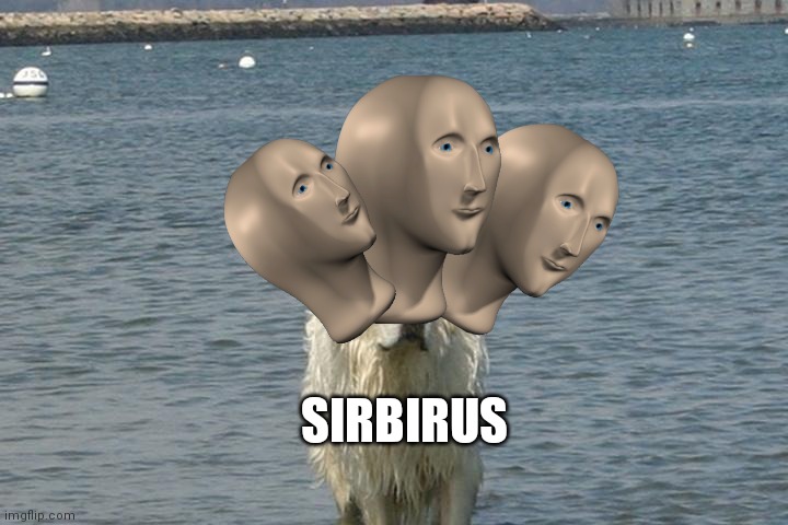 Cerberus | SIRBIRUS | image tagged in stonks,dog | made w/ Imgflip meme maker