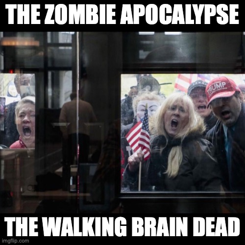 Trump Michigan Protesters | THE ZOMBIE APOCALYPSE; THE WALKING BRAIN DEAD | image tagged in trump michigan protesters | made w/ Imgflip meme maker