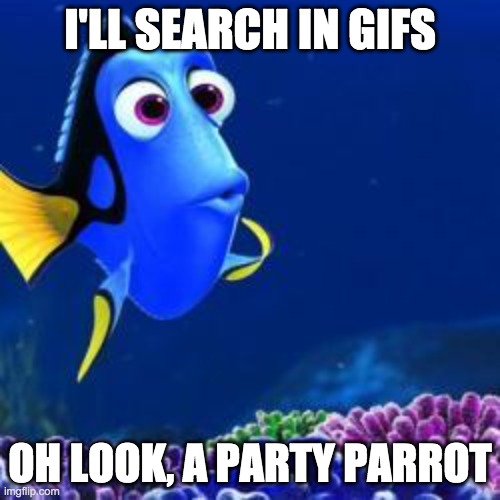 oh look | I'LL SEARCH IN GIFS; OH LOOK, A PARTY PARROT | image tagged in oh look | made w/ Imgflip meme maker
