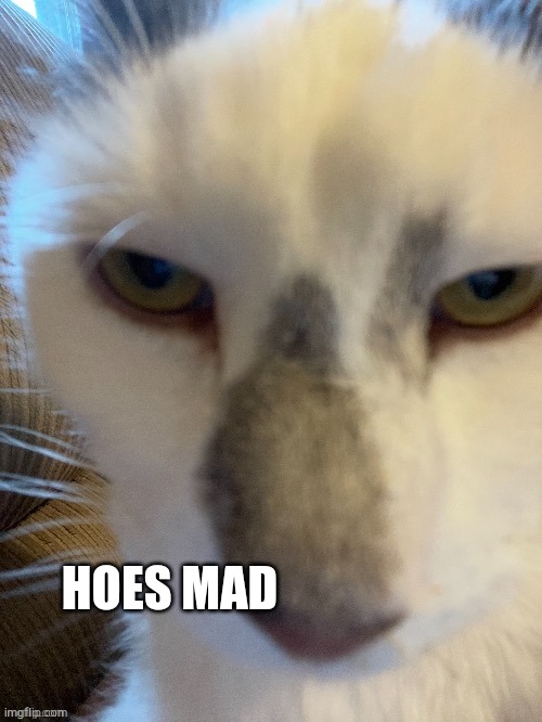 HOES MAD | made w/ Imgflip meme maker